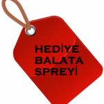 Fren Balata Spreyi