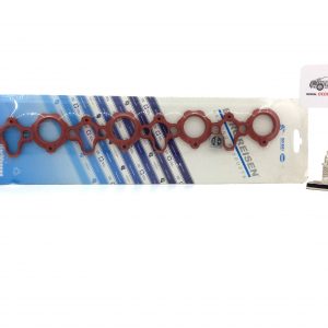 emme manifold contası