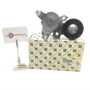 Peugeot 308 Alternatör Gergi Rulmanı
