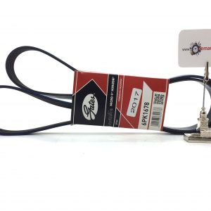 Citroen Berlingo Alternatör V Kayışı