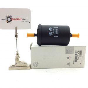 Citroen C2 Benzin Filtresi