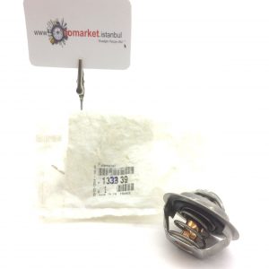 Termostat 306