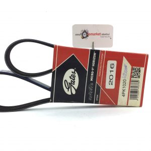 Fiat Albea Alternatör V Kayışı